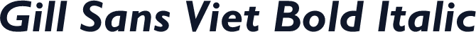 Gill Sans Viet Bold Italic
