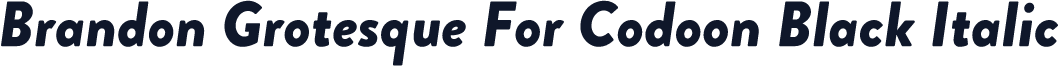 Brandon Grotesque For Codoon Black Italic