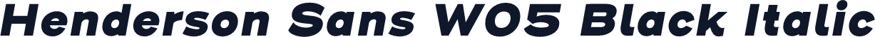 Henderson Sans W05 Black Italic