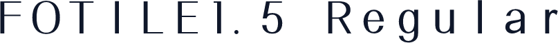 FOTILE1.5 Regular