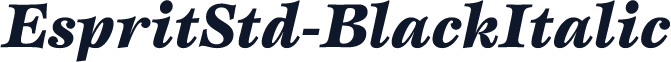 EspritStd-BlackItalic