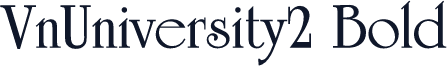 VnUniversity2 Bold