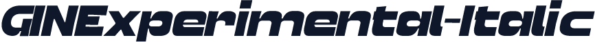 GINExperimental-Italic