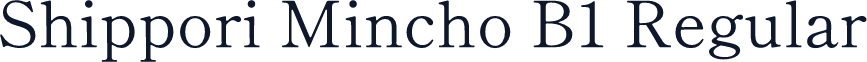 Shippori Mincho B1 Regular