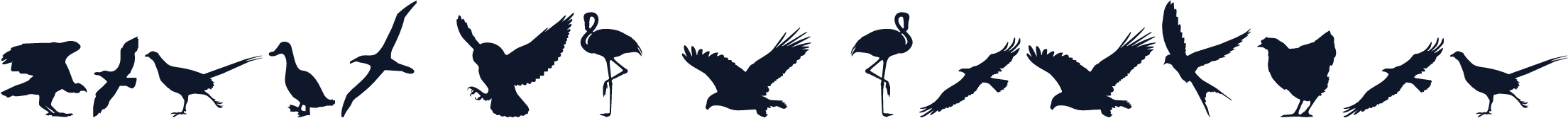 Birds of a Feather