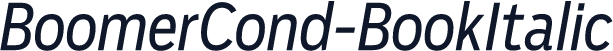 BoomerCond-BookItalic