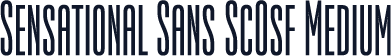 Sensational Sans ScOsf Medium