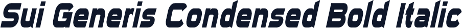 Sui Generis Condensed Bold Italic