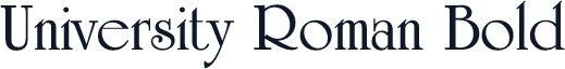 University Roman Bold