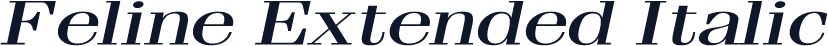 Feline Extended Italic