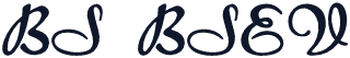 BS BSEV
