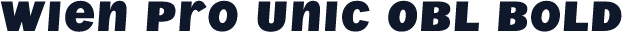☞Wien Pro Unic Obl Bold