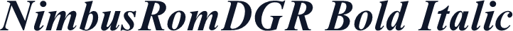 NimbusRomDGR Bold Italic