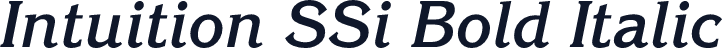 Intuition SSi Bold Italic