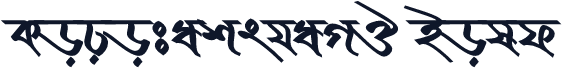 KopotakshaMJ Bold