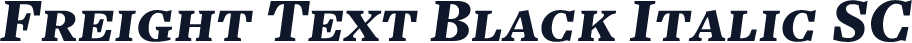 Freight Text Black Italic SC