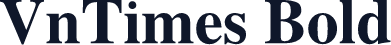 VnTimes Bold