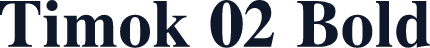 Timok 02 Bold