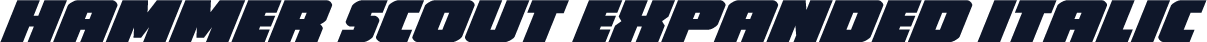 Hammer Scout Expanded Italic