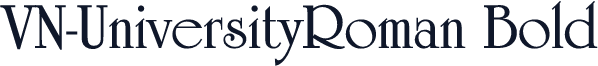 VN-UniversityRoman Bold