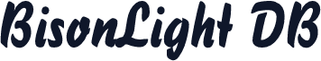 BisonLight DB