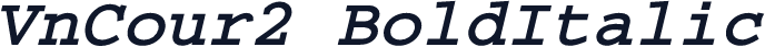 VnCour2 BoldItalic