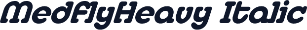 MedflyHeavy Italic