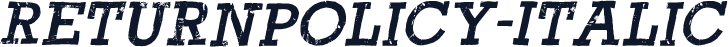 ReturnPolicy-Italic