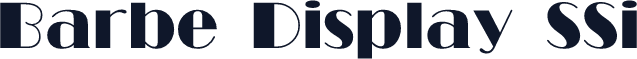 Barbe Display SSi