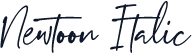 Newtoon Italic