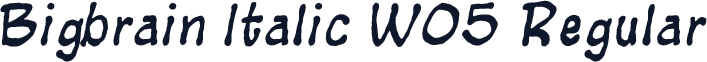 Bigbrain Italic W05 Regular