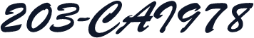 203-CAI978
