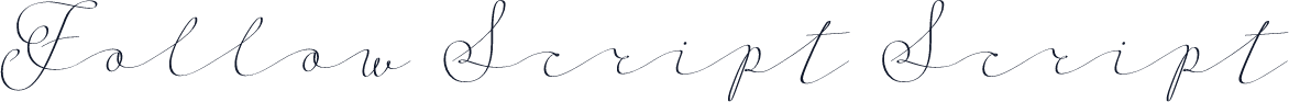 Follow Script Script
