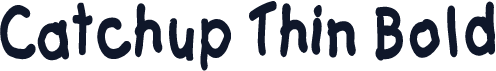 Catchup Thin Bold