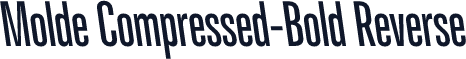 Molde Compressed-Bold Reverse