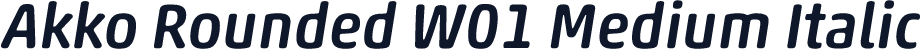 Akko Rounded W01 Medium Italic