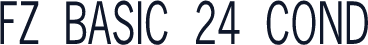 FZ BASIC 24 COND