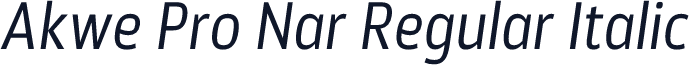 Akwe Pro Nar Regular Italic