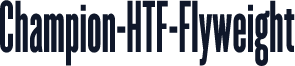 Champion-HTF-Flyweight