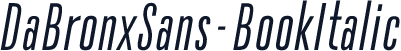 DaBronxSans-BookItalic
