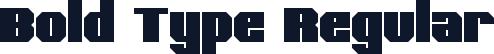 Bold Type Regular
