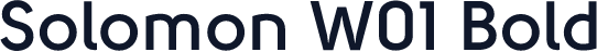 Solomon W01 Bold