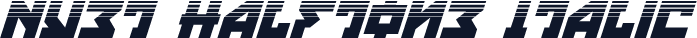 Nyet Halftone Italic