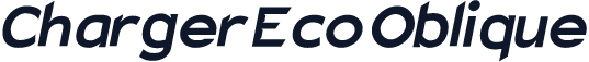 Charger Eco Oblique