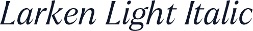 Larken Light Italic