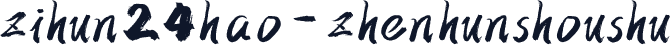 zihun24hao-zhenhunshoushu