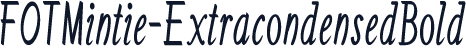 FOTMintie-ExtracondensedBold