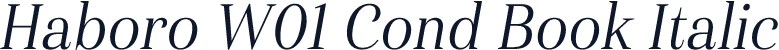 Haboro W01 Cond Book Italic