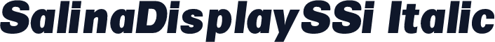 SalinaDisplaySSi Italic
