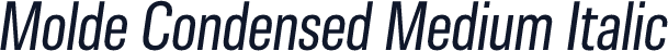 Molde Condensed Medium Italic